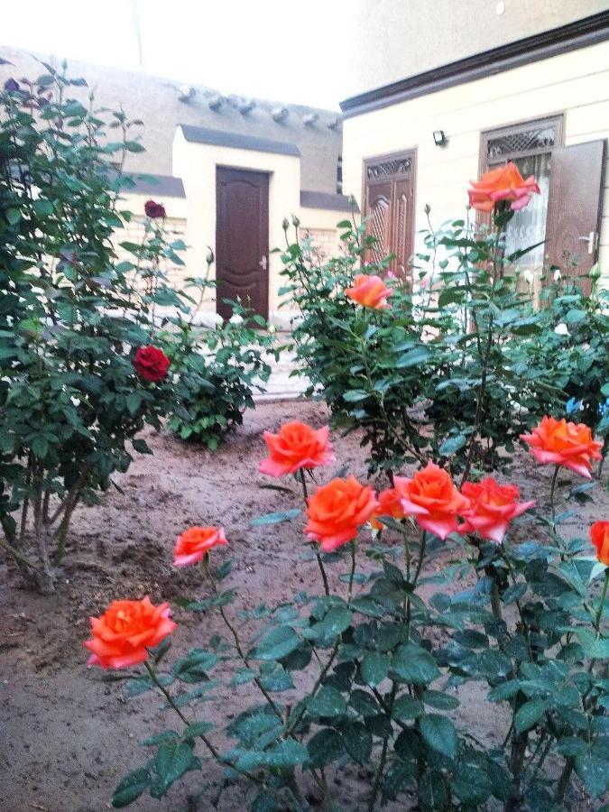 Shodlik Guest House Khiva Eksteriør billede